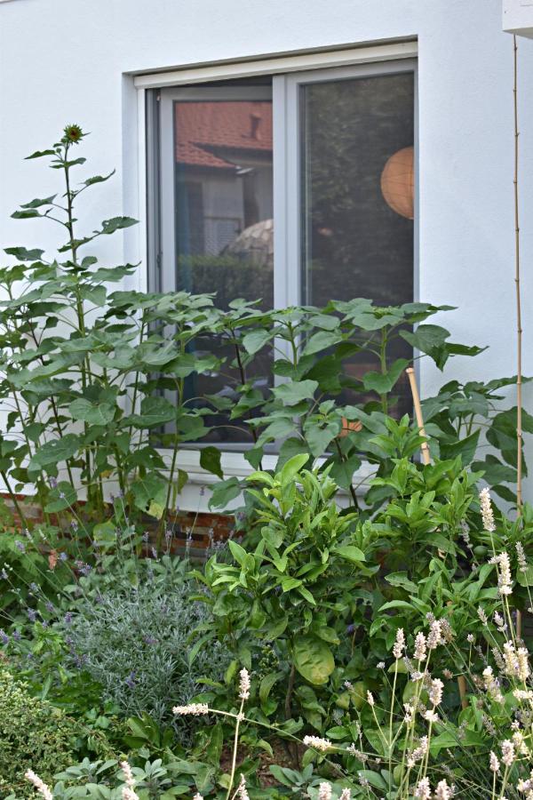 Postaja 33 Apartment Zgornje Skofije Exterior photo